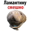 😊