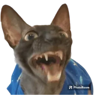 🗣️