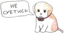 🐶
