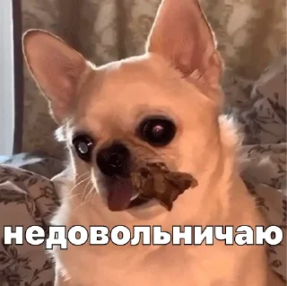 🥲