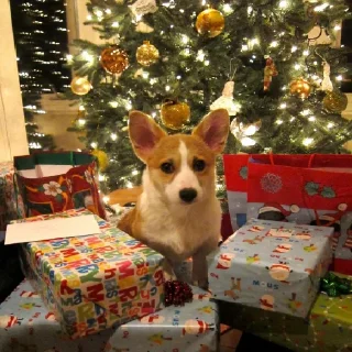 🎄