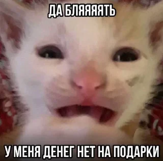 🤬