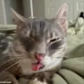 🤯