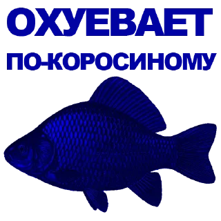 🐠