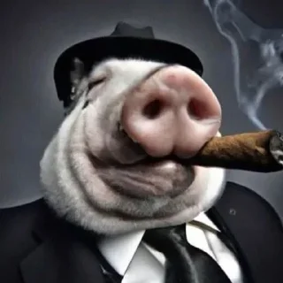 🐷