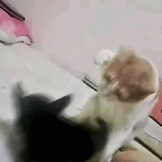 👊