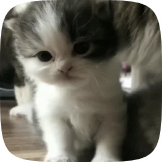 🤧