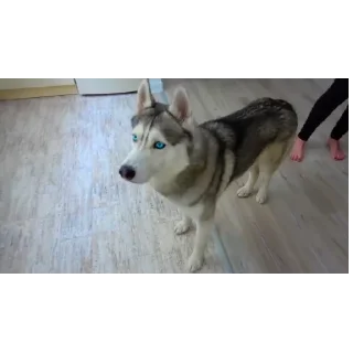 👍
