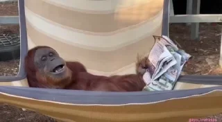 😄