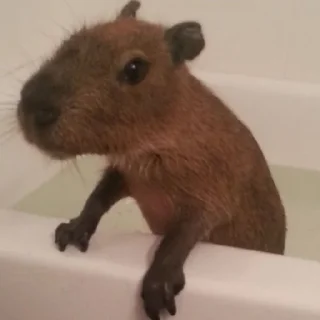 ❤️
