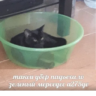 🚘