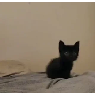 🥺