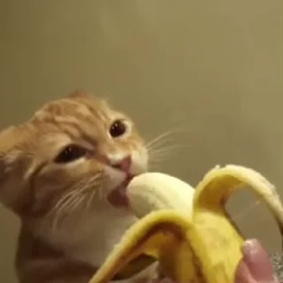 🍌