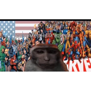 🐵