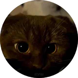 😍