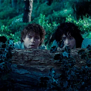 🌳