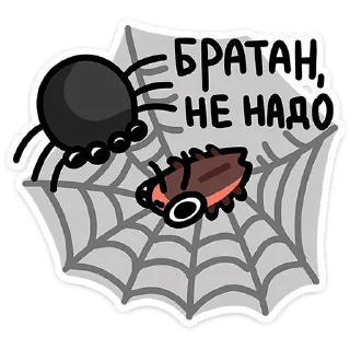 🕷