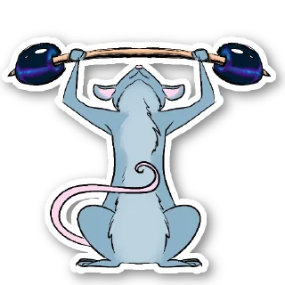 🏋️‍♀️