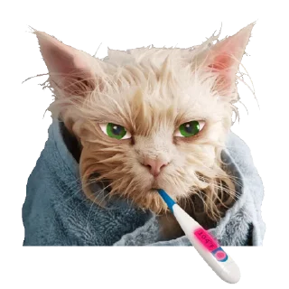 🤒