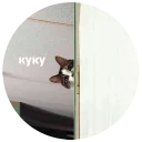 😺