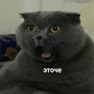 😮