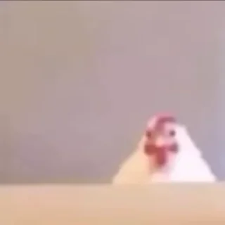😃