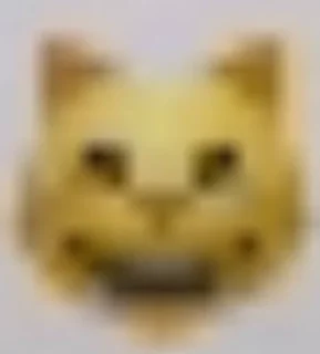 😸