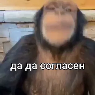 ✅