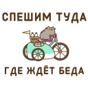 🐿