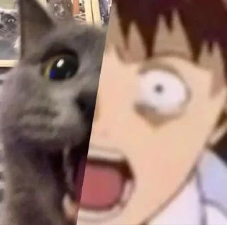 😠