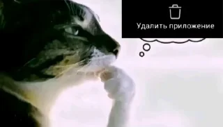 🤔