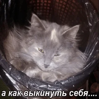 😨