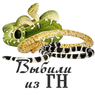 🐍