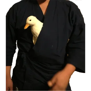 💁‍♂️