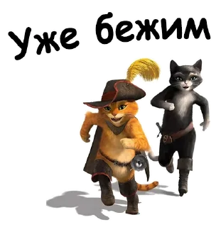 🏃‍♂️