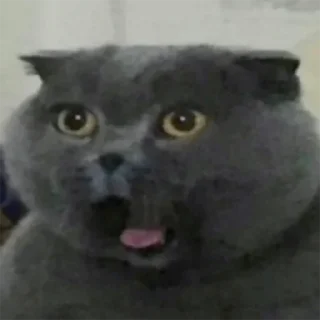 😮