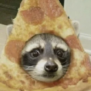 🍕