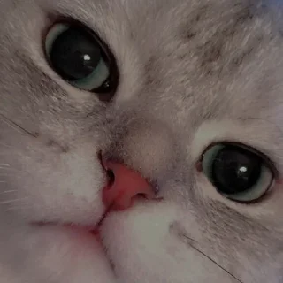 💗