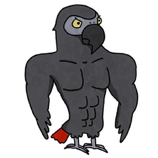 💪