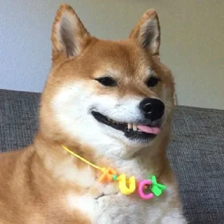 👉