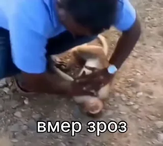 😵
