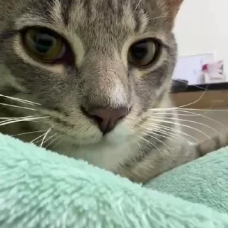 💋