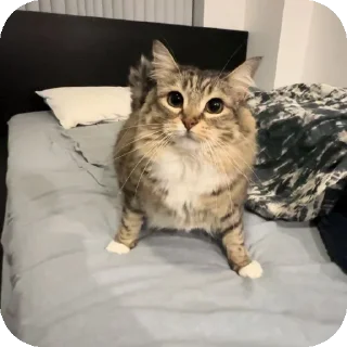 👍