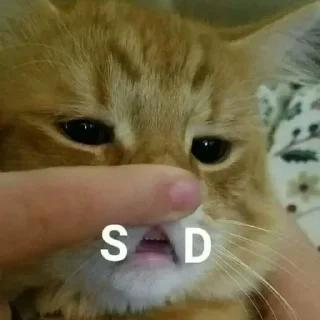 😩