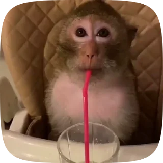 🍷