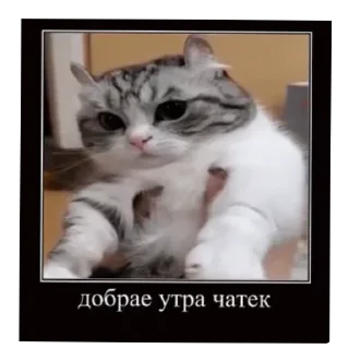 🥰