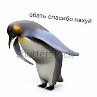 😊