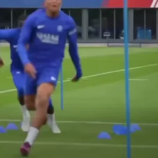🐢