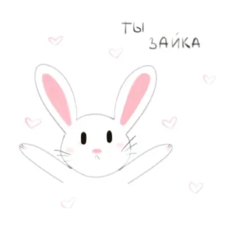 🐰