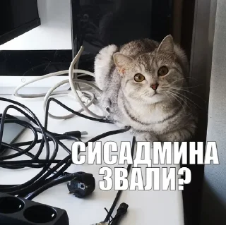 💾